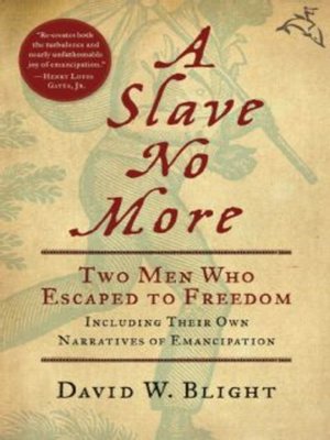 cover image of A Slave No More